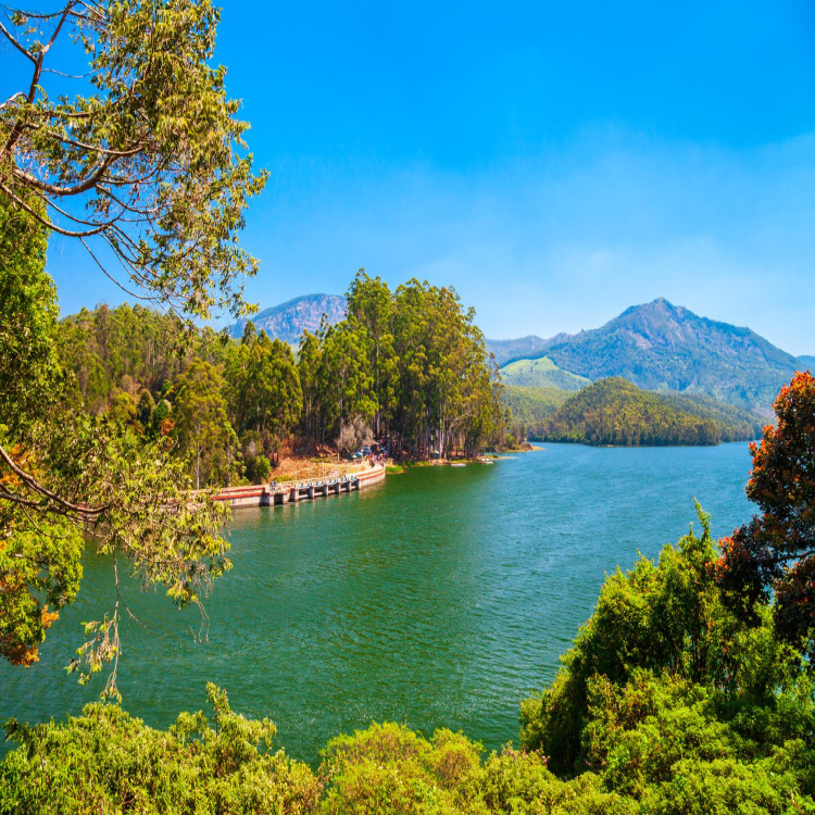 dam-lake-near-munnar-india